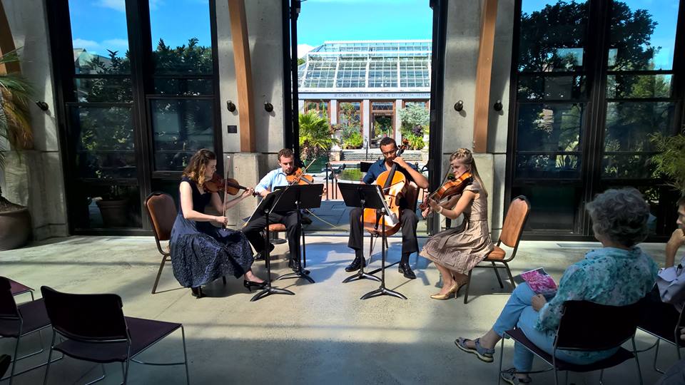 Denovo String Quartet