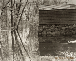 Platinum Landscape photographic print by Peg O'Connell